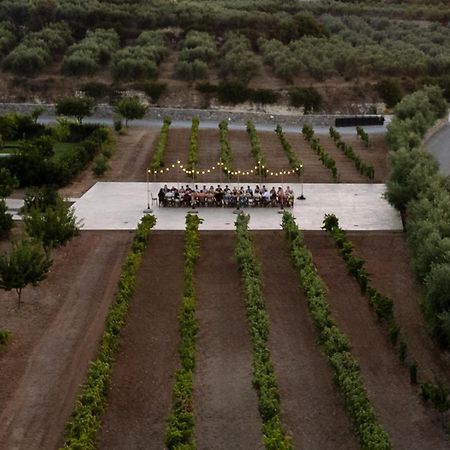 Citrus Grove Luxury Villas 斯加雷塔 外观 照片