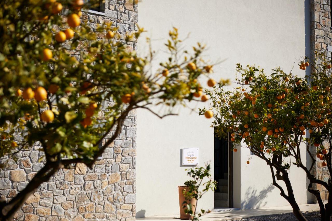 Citrus Grove Luxury Villas 斯加雷塔 外观 照片