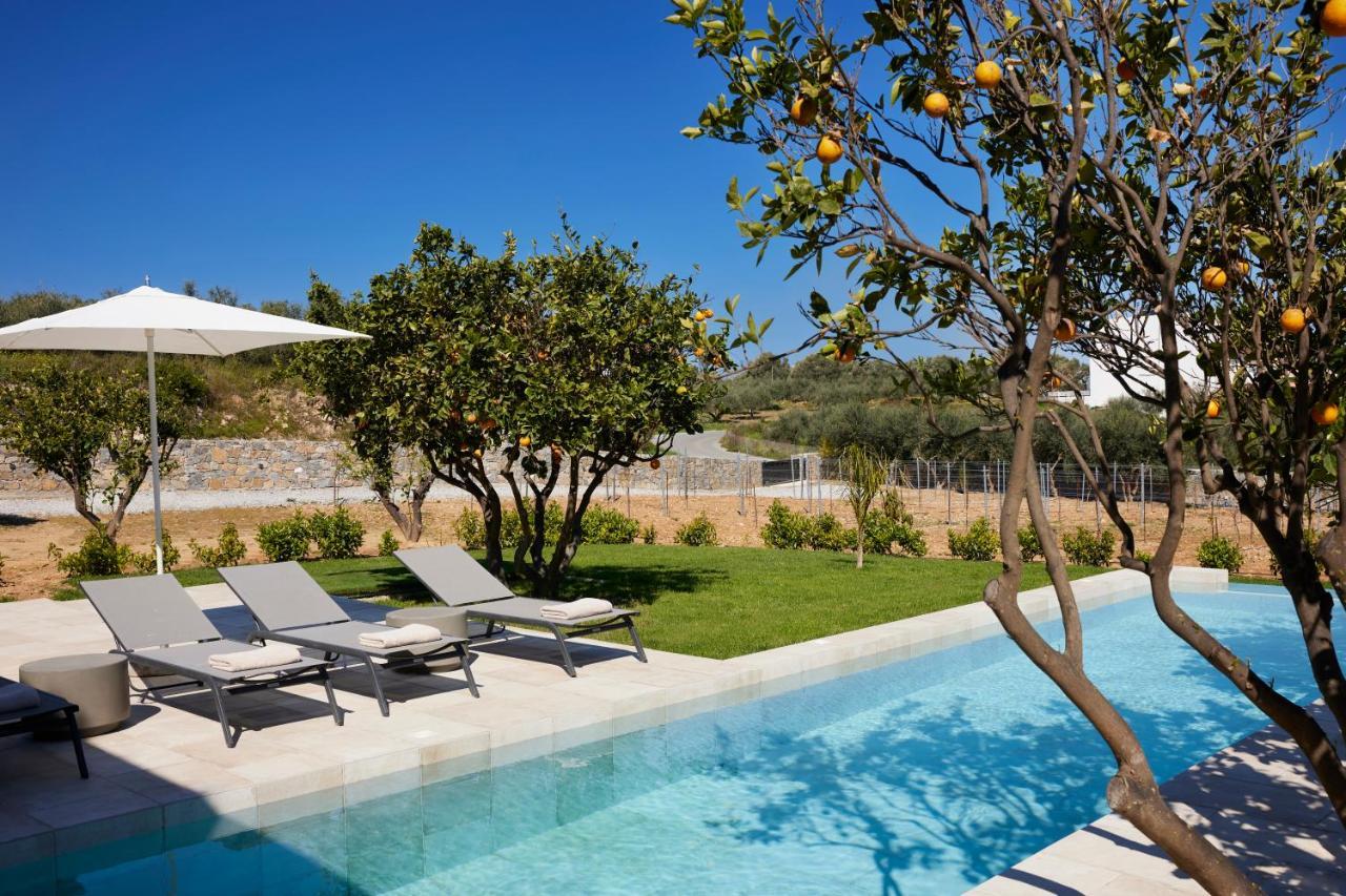 Citrus Grove Luxury Villas 斯加雷塔 外观 照片