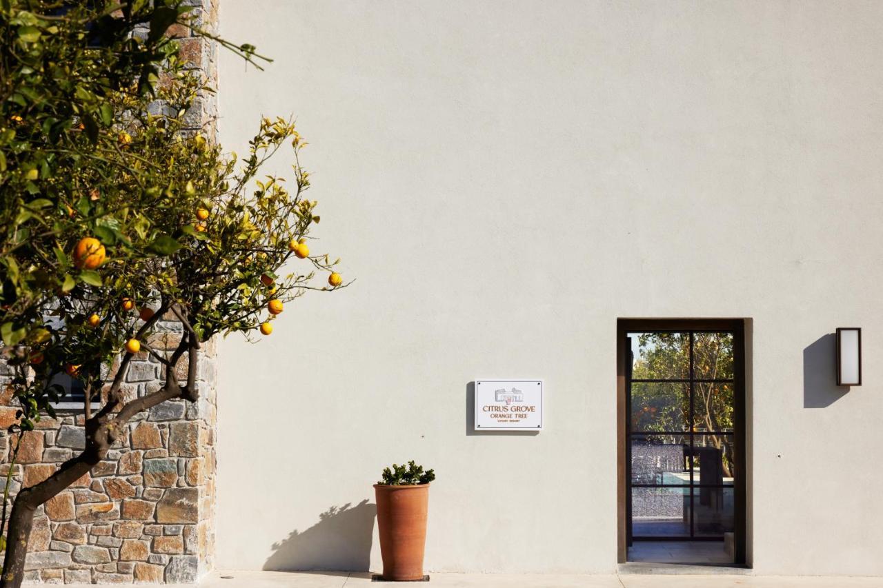Citrus Grove Luxury Villas 斯加雷塔 外观 照片