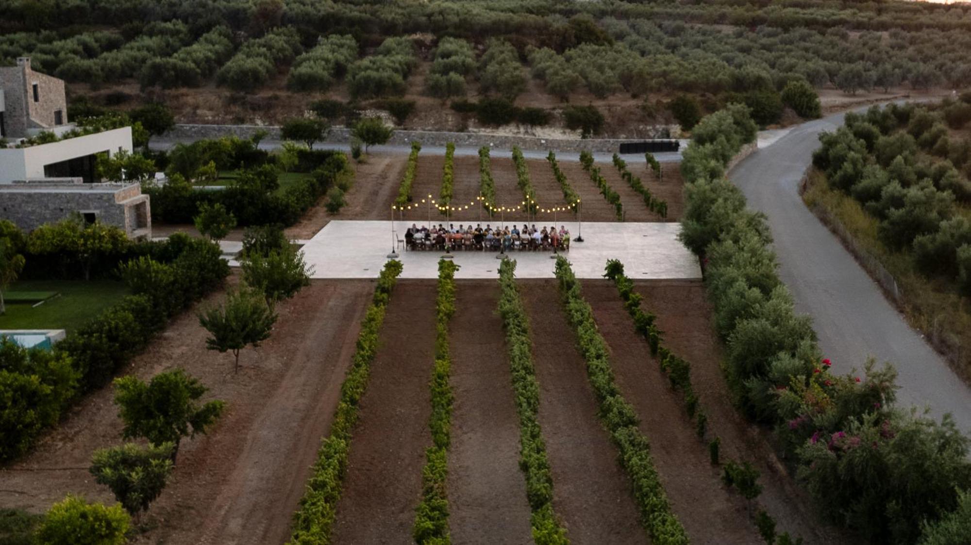 Citrus Grove Luxury Villas 斯加雷塔 外观 照片